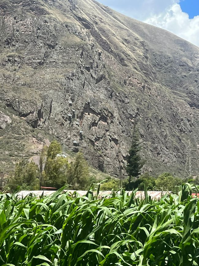 👷♂️Tag 30-2 (2.11.) Viaggio da Cusco ad Aguas Calientes ai piedi del Machu Picchu