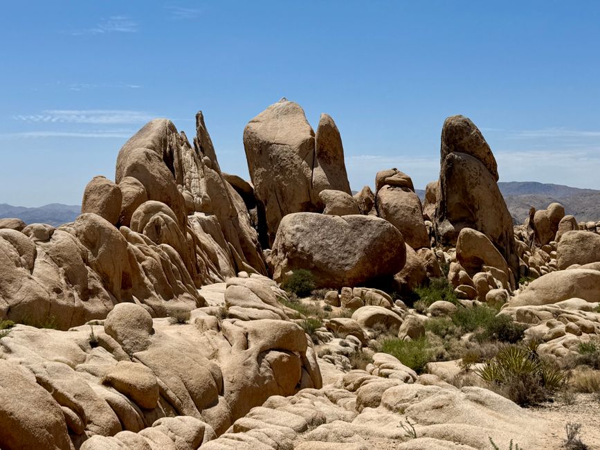 Joshua Tree National Park – Arch Rock & Skull Rock