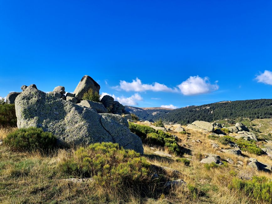 Steine im Lozére