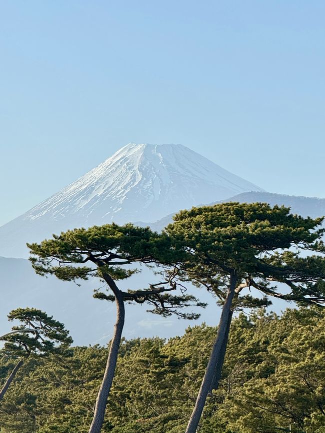 Part 10 - Final Part 
Japan 🇯🇵 Mishima, Departure and Conclusion