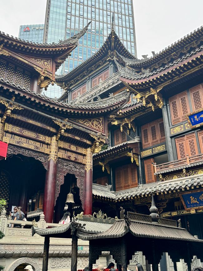 With the Bullet Trains 🚅
CHINA 🇨🇳 & JAPAN 🇯🇵 Discovering      
Part 3: Chongqing