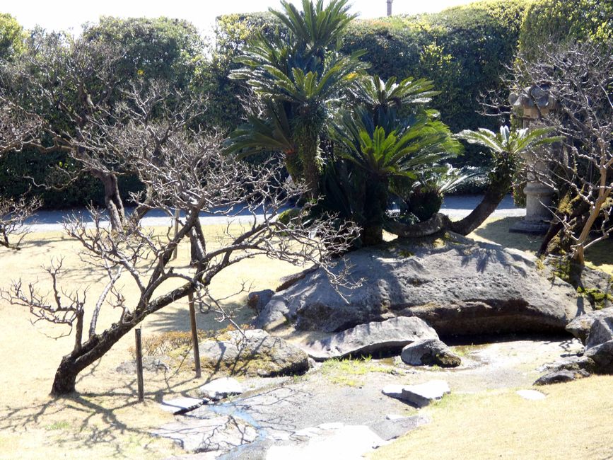 Kagoshima, 20 de marzo de 2026