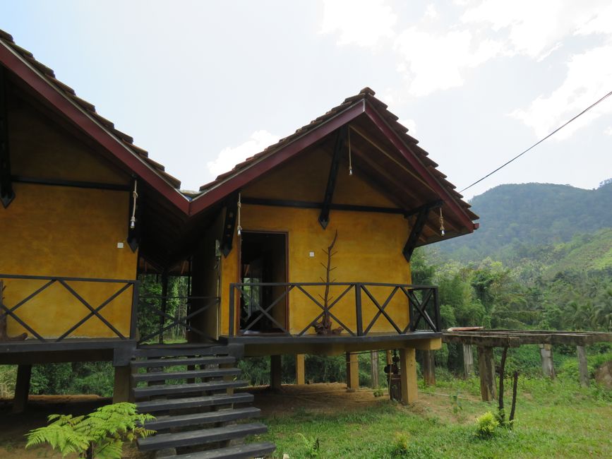 Sinharaja - l'ultima foresta pluviale dello Sri Lanka