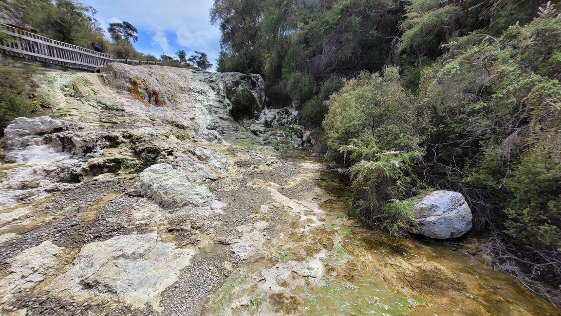 In Wai-O-Tapu National Park and at Lady Knox