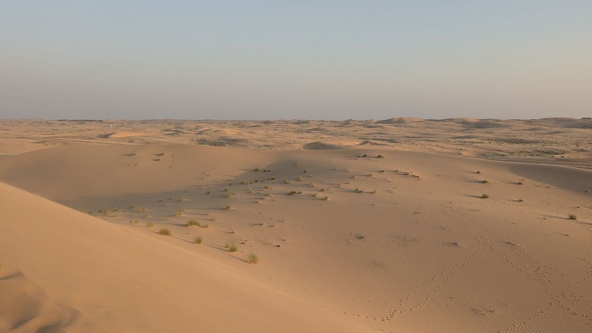 Etiqueta 2 (2024)