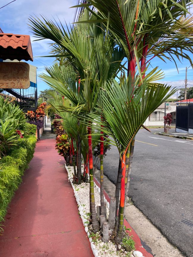 Der Radius erweitert sich langsam