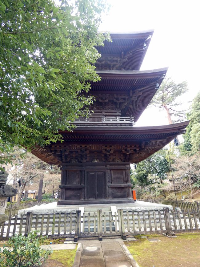 Katzentempel Gotoku-ji