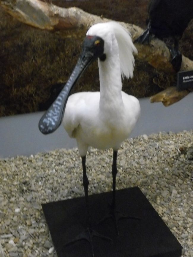 Der Löffel...