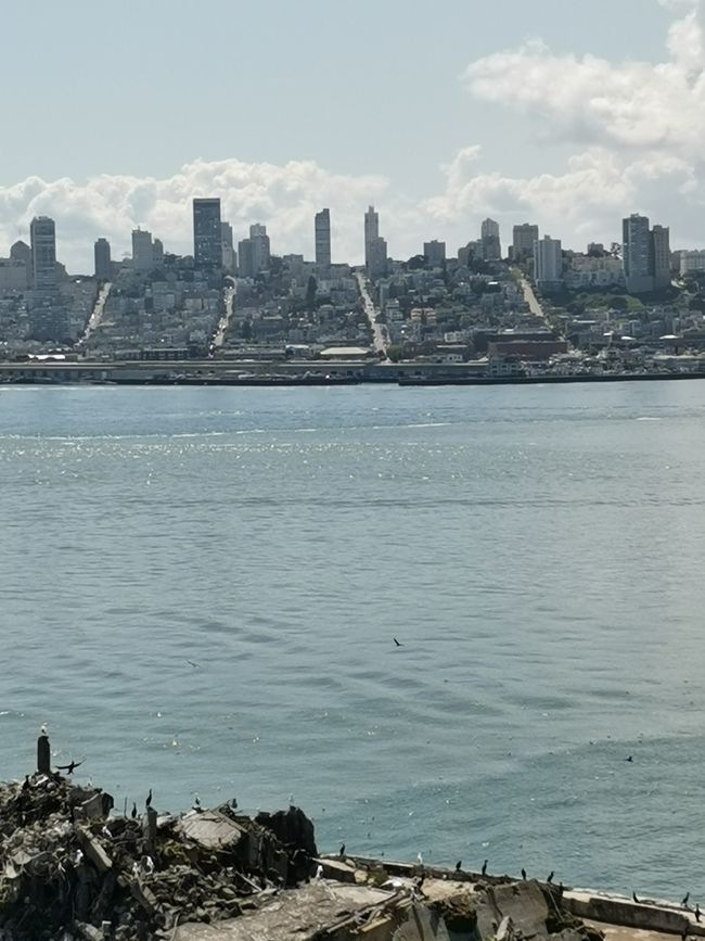 San Francisco - Metrópoli en California