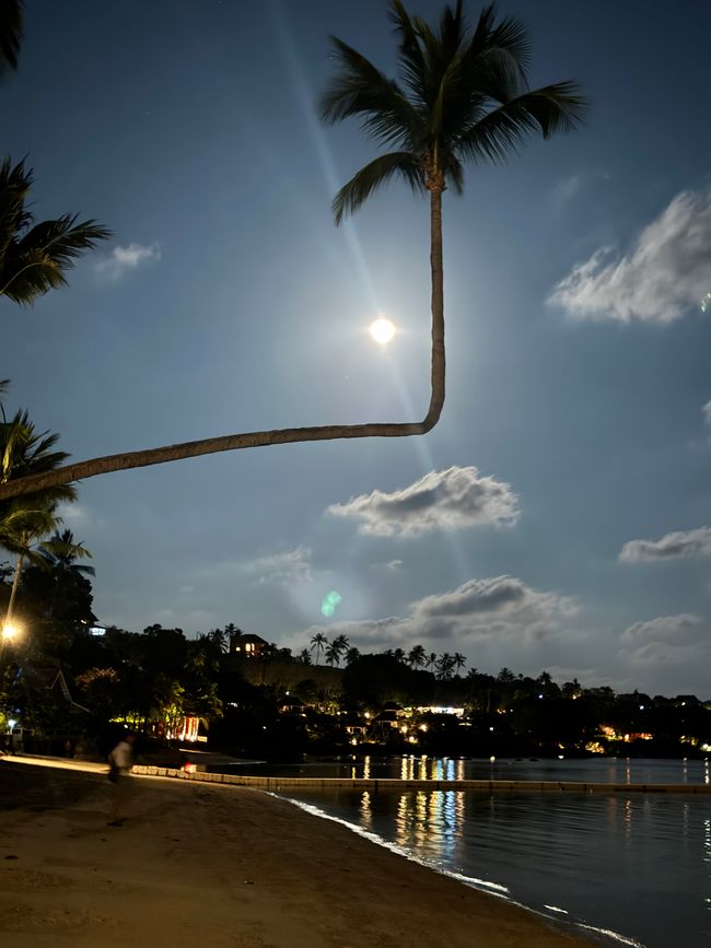KoSamui