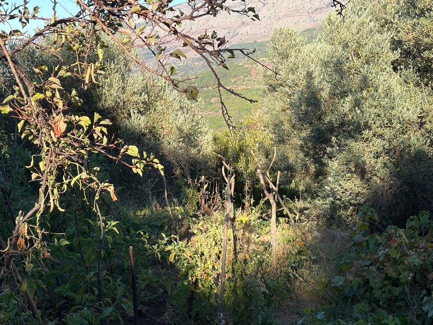 Nochmal Therma