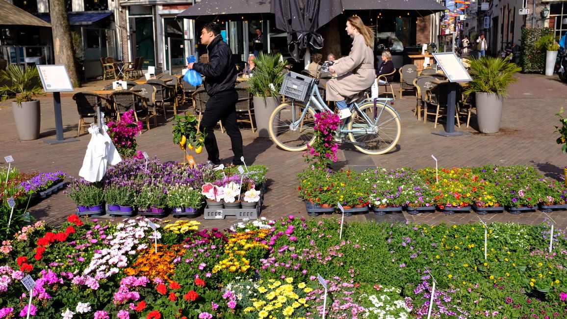 Le marché hebdomadaire le vendredi et le samedi