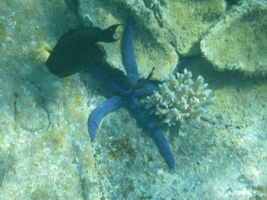 Arutanga - Aitutaki (Isole Cook)