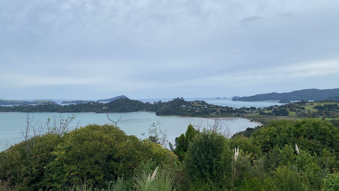Coromandel loop