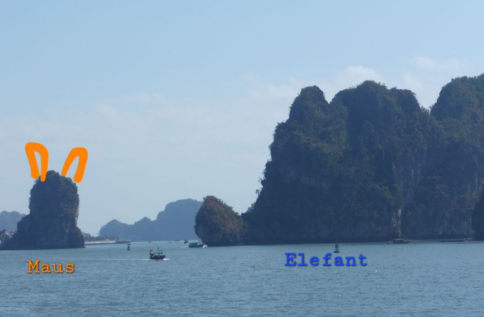 2025-01-11 Cat Ba, Vietnam