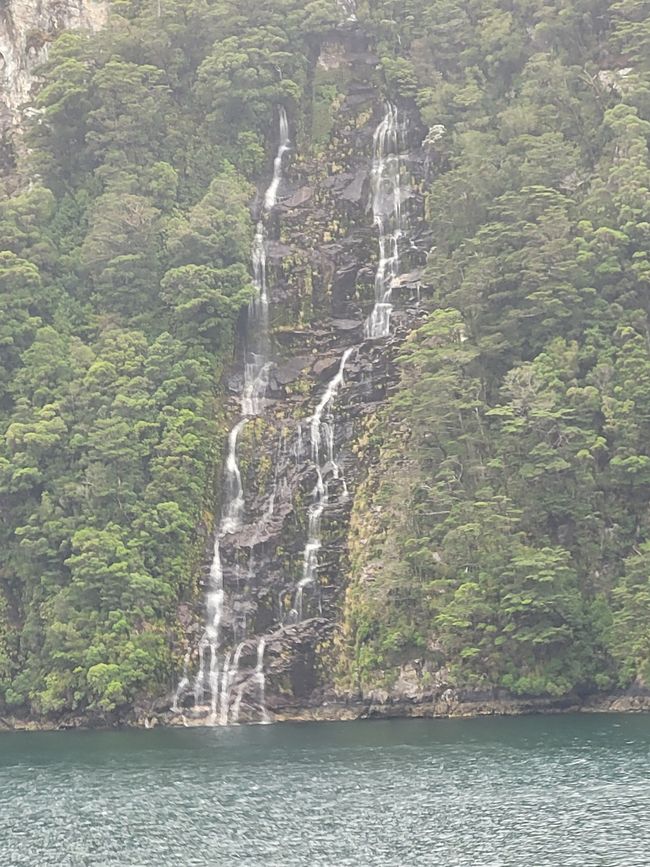 Tag 85 von 175: Kreuzfahrt rund um die Welt  - Routenänderung  wegen der Wetterbedingungen  - Kreuzen im Dusky Sound und Breaksea Sound/Neuseeland