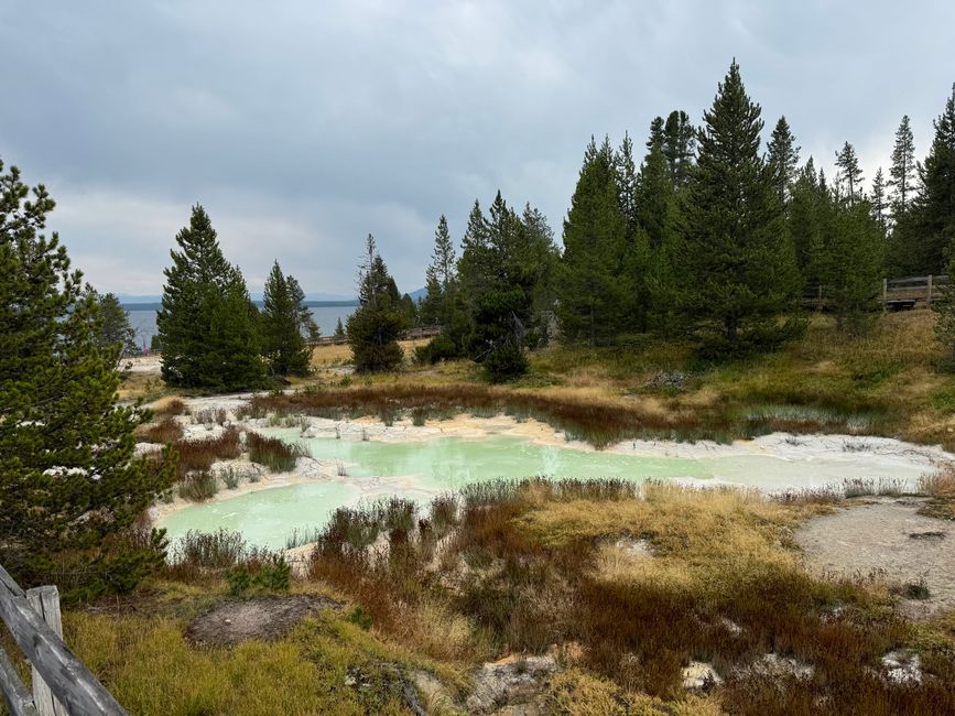 Parque Nacional Yellowstone