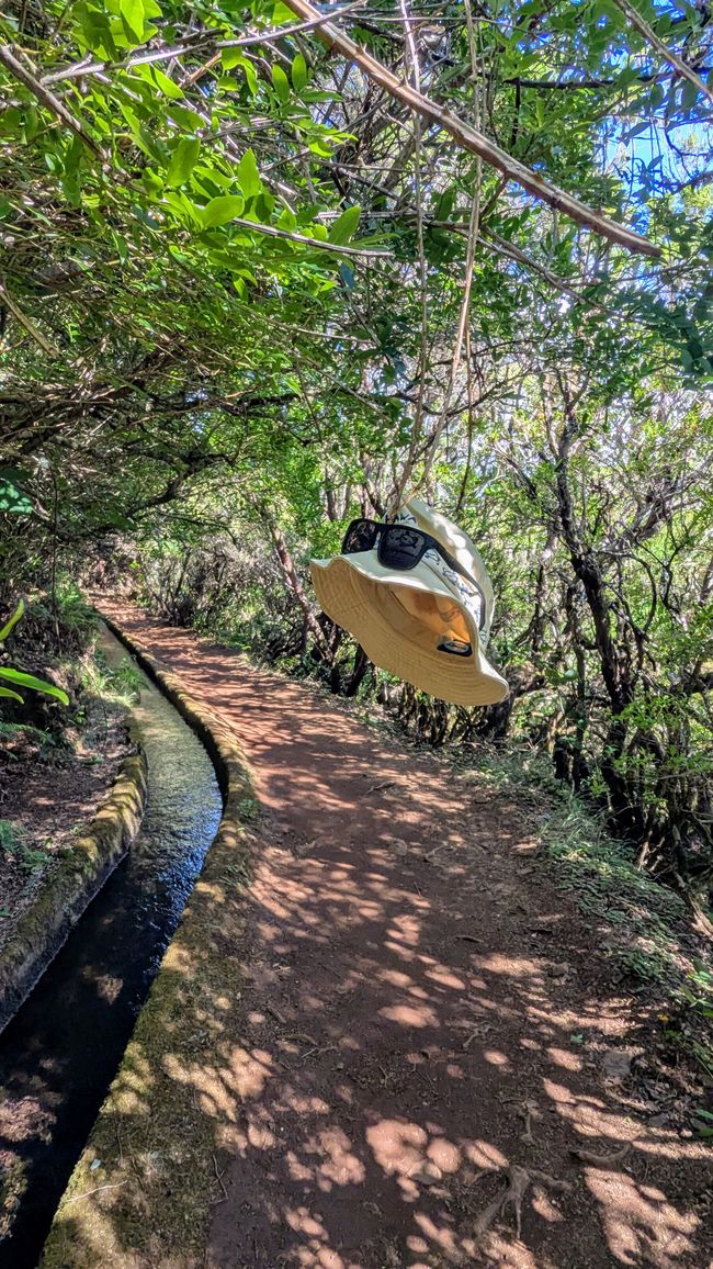 Da hat sich der Ast Hut samt Brille gekrallt