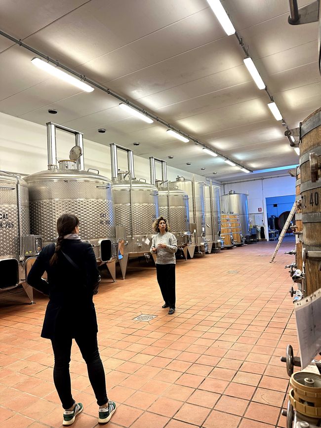 Tuscany Tour - Stop 3: Wine Tasting in Montalcino
