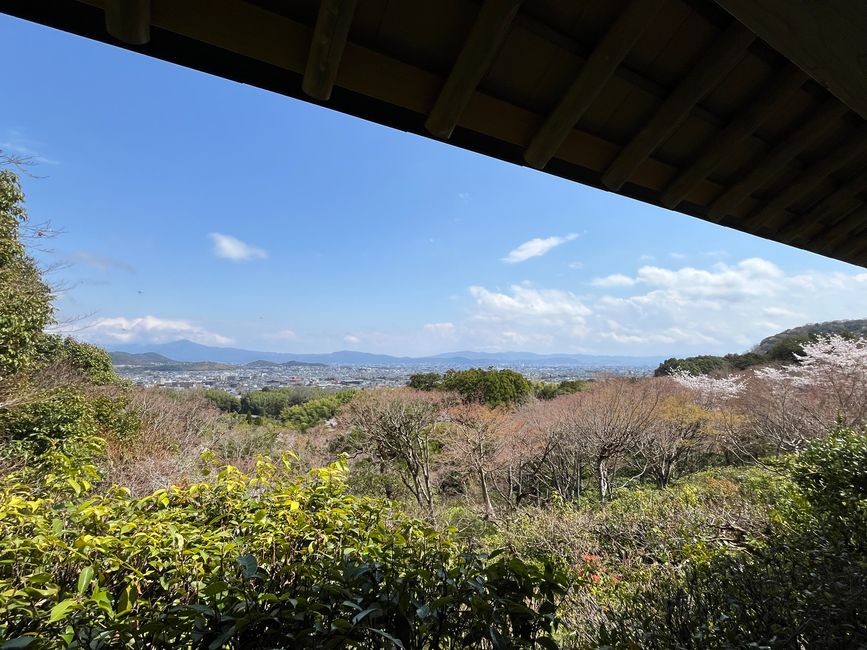 Kyoto-Domingo-06.04.25