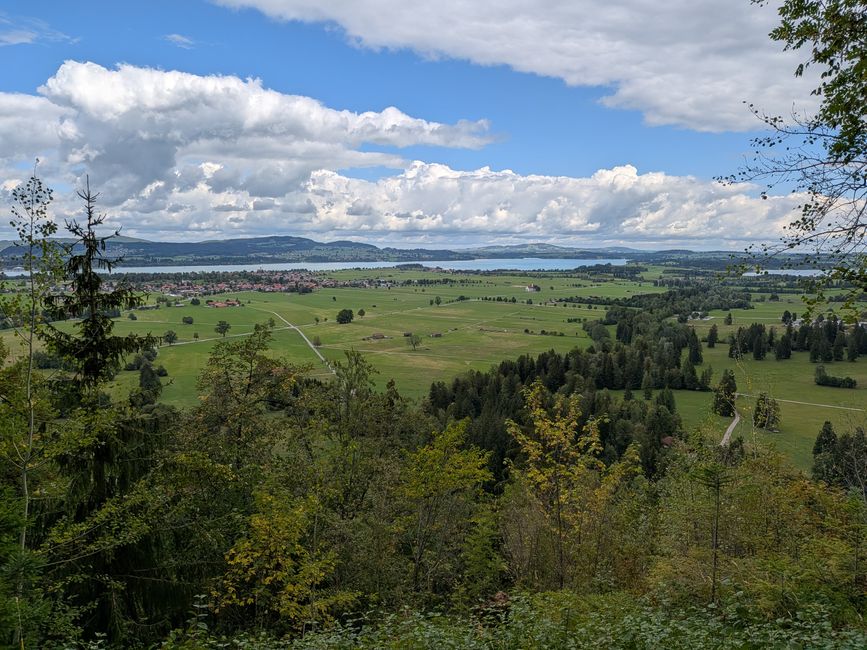 Forggensee 2026 - Neuschwanstein und Zugspitze