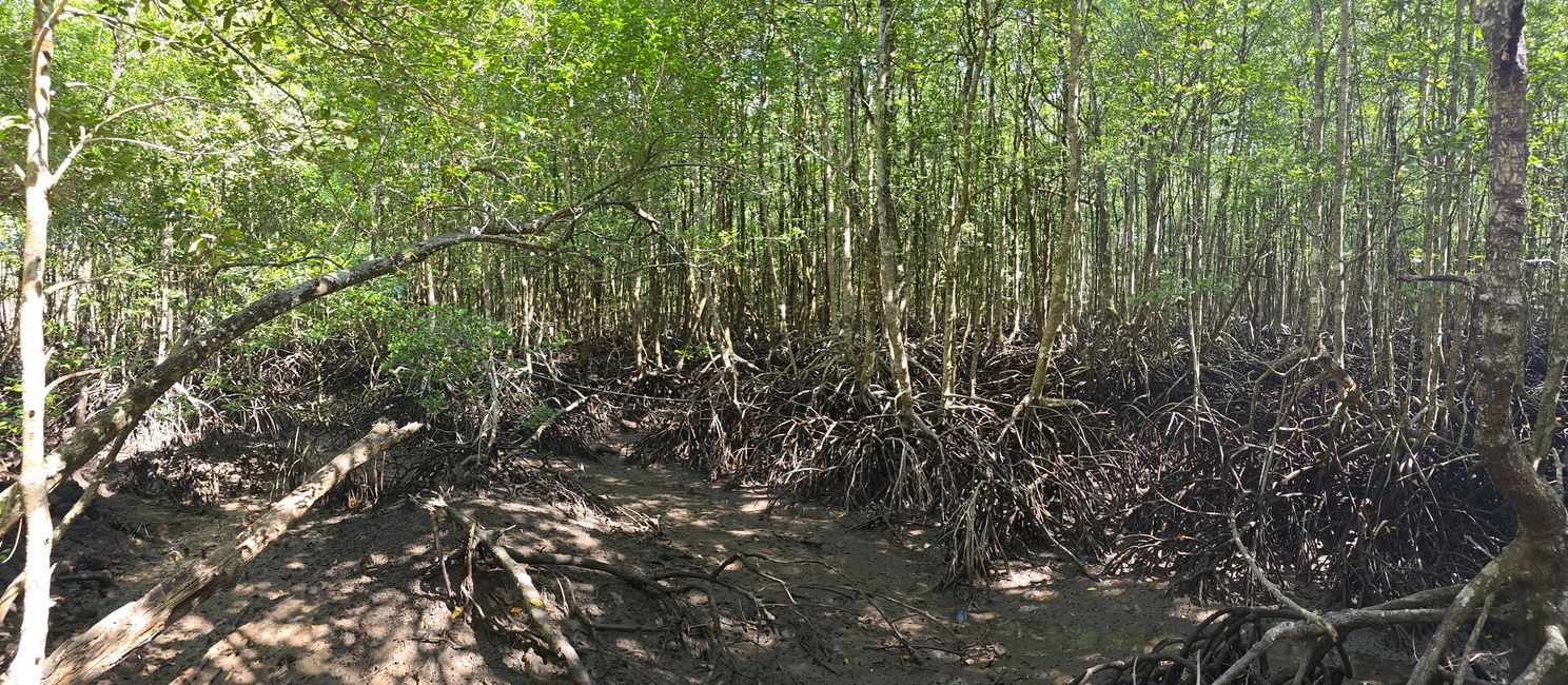 Langkawi - Reif für die Insel!