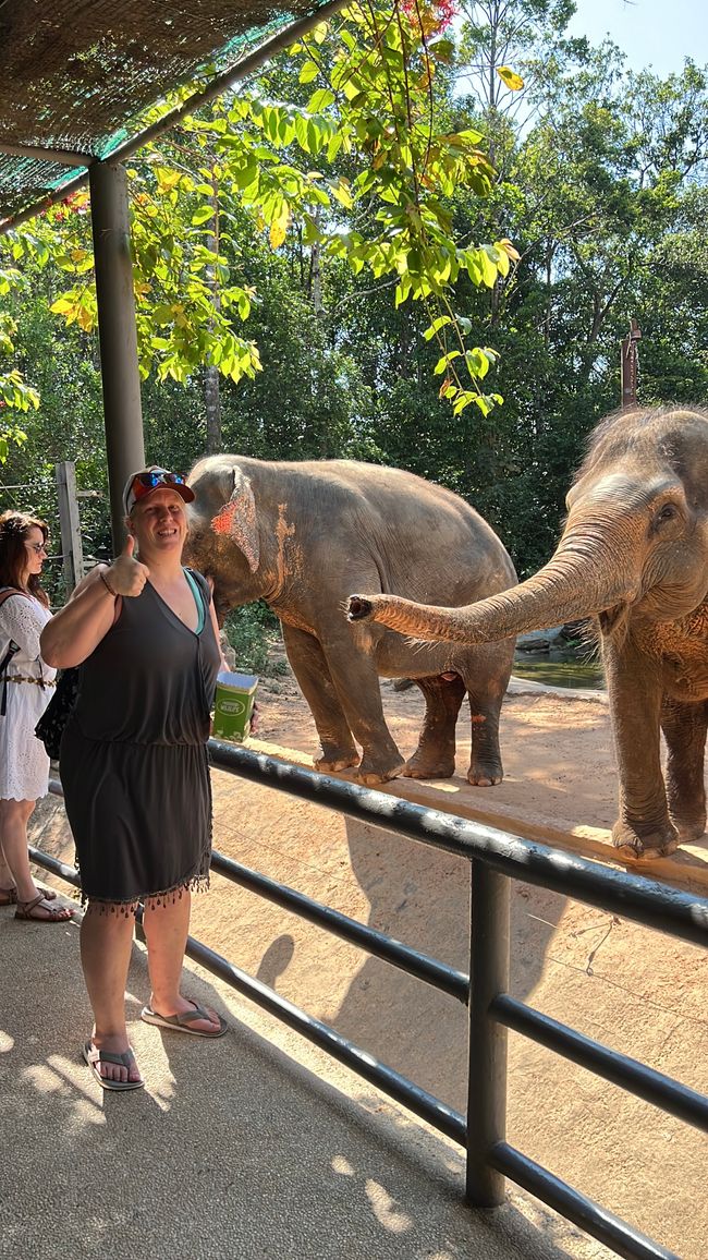 Tag 16 - Phu Quoc: Tierische Higloghts und glitzerndes Einhorn
