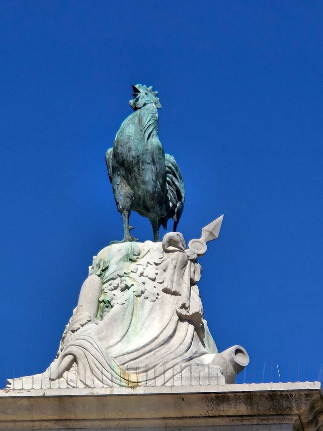 Gallo a Narbonne