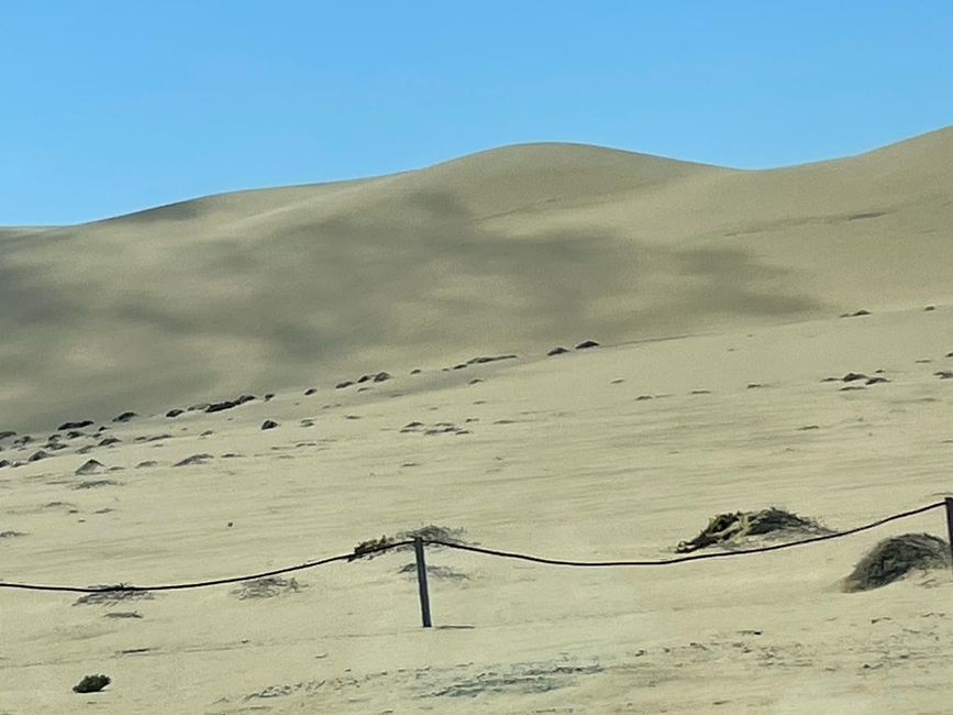 Dunas hasta donde alcanza la vista