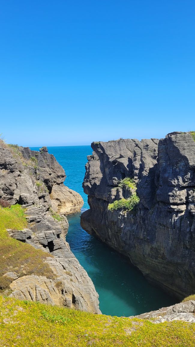 29.Januar-27.Februar 2025 Neuseeland
15.Januar