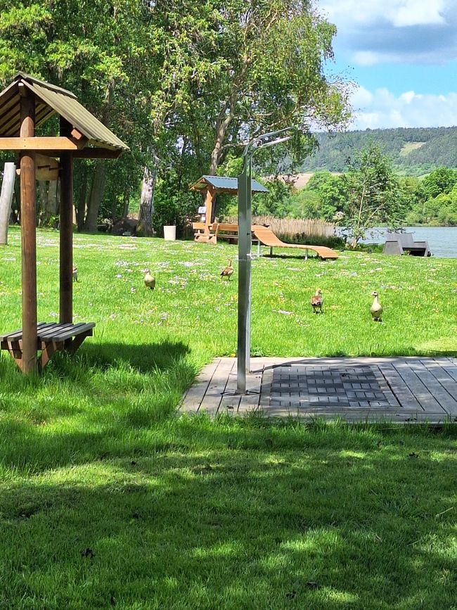 Au bord du lac