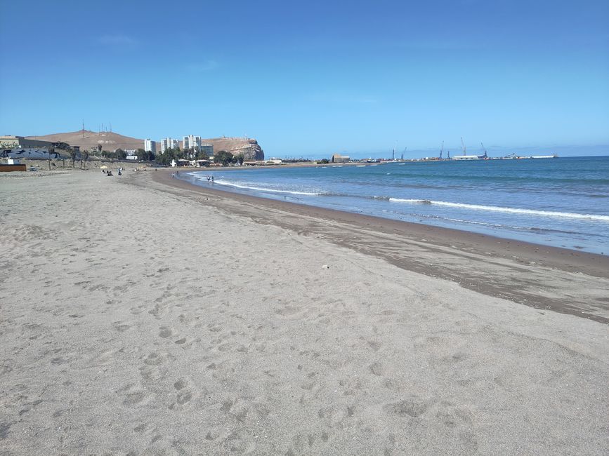 Arica (Chile): Surfen in der Wüste, liebevolle Haustiere und eindrücklicher Chungará-See 