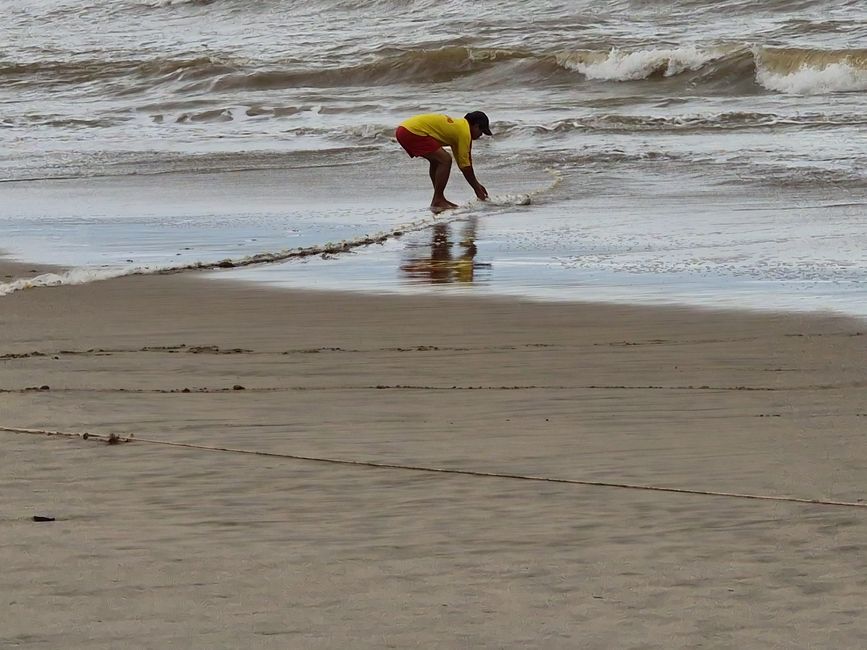 Vorüber die Flut.
Wer sah es wohl, du selig Land, 
wie dich die Welle überwand.