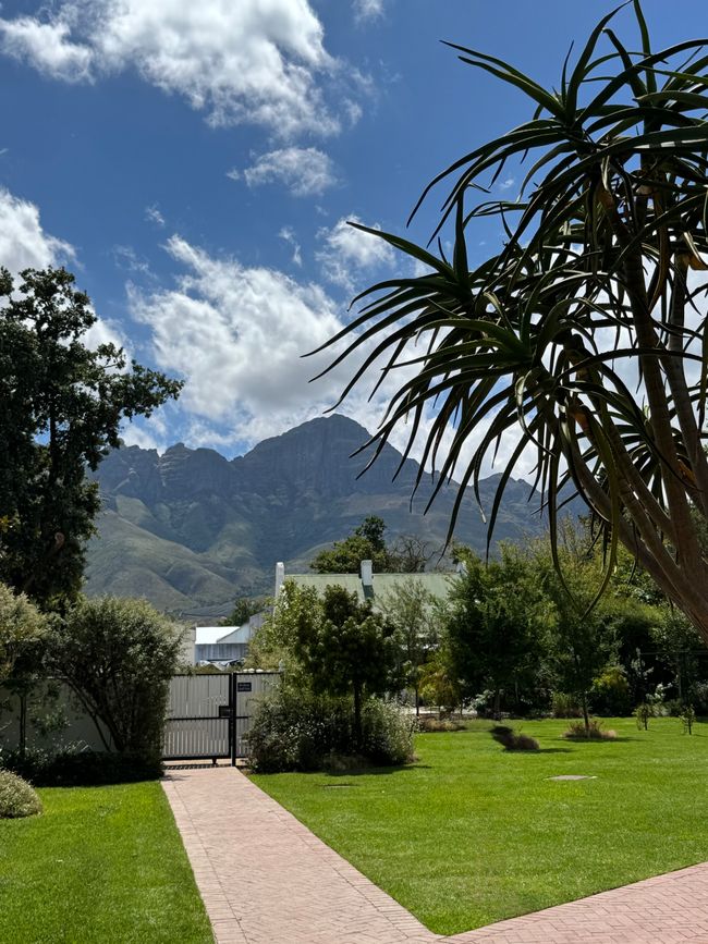 South Africa🇿🇦Week 6