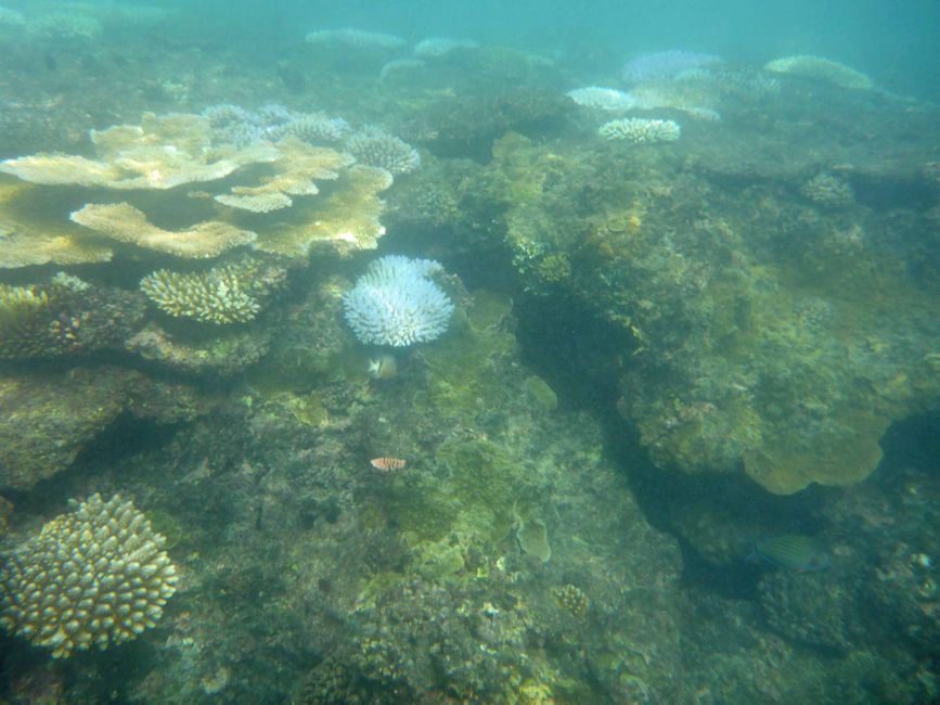 Yasawa-Inseln, Fidschi