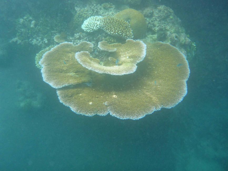 Yasawa-Inseln, Fidschi