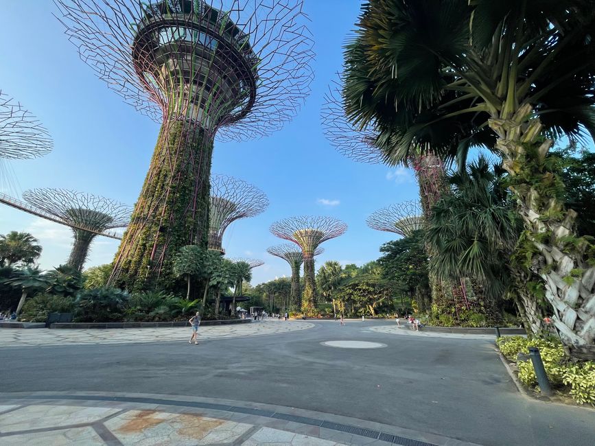Garden by the bay