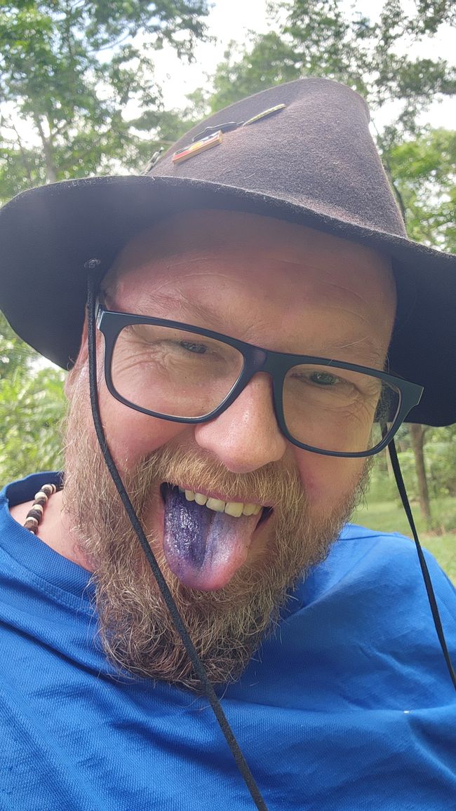 Tag 28, 22. Mai, Daintree, der älteste Regenwald der Welt