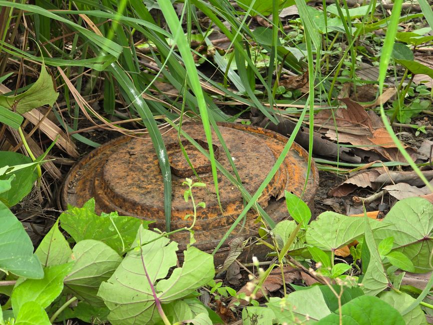 Aki Ra's Cambodia Landmine Museum