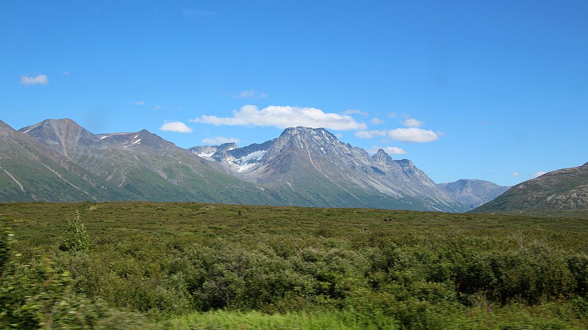 Tag 27: Bärenshow & fantastische Bergwelten - zurück nach Yukon/Kanada