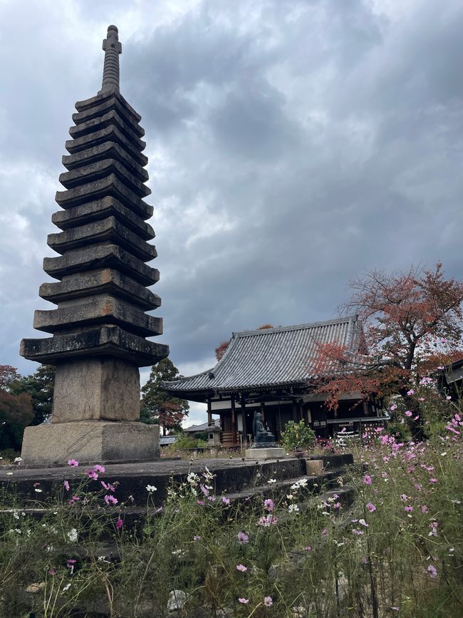 Chapter 18: Prison Visit, One More Jewel, and a New Sento