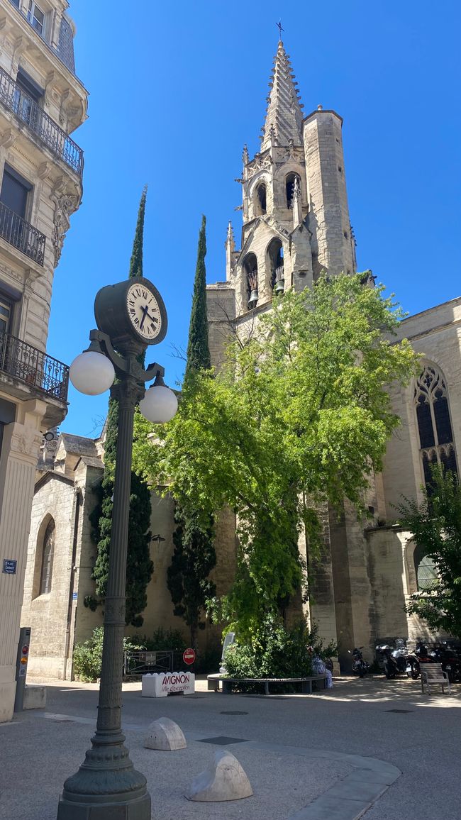 Avignon