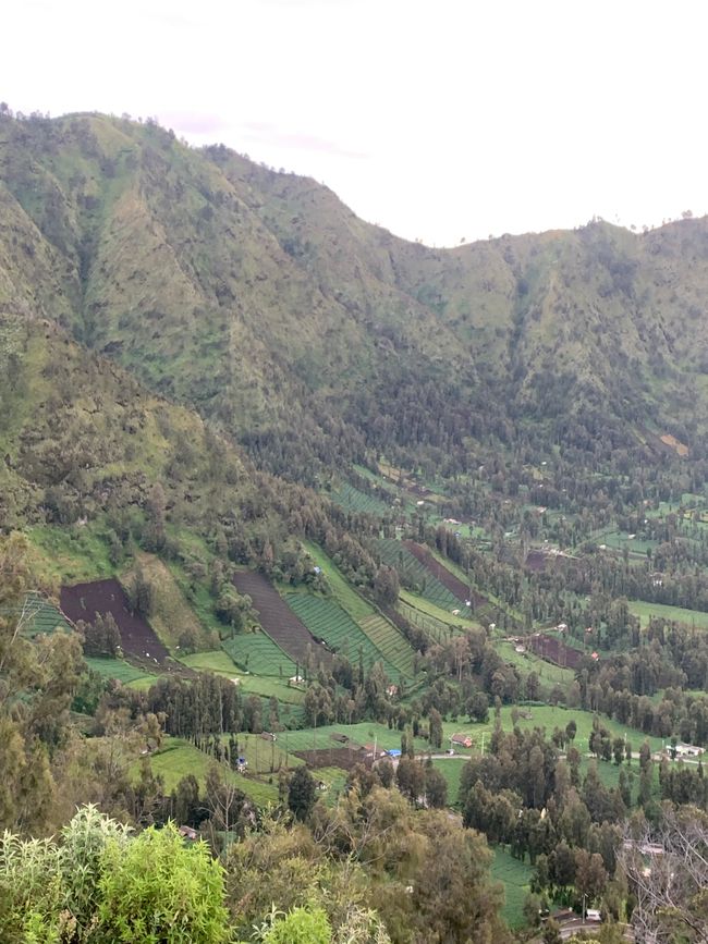 Ijen Cratere e Parco Nazionale Bromo Tengger Semeru