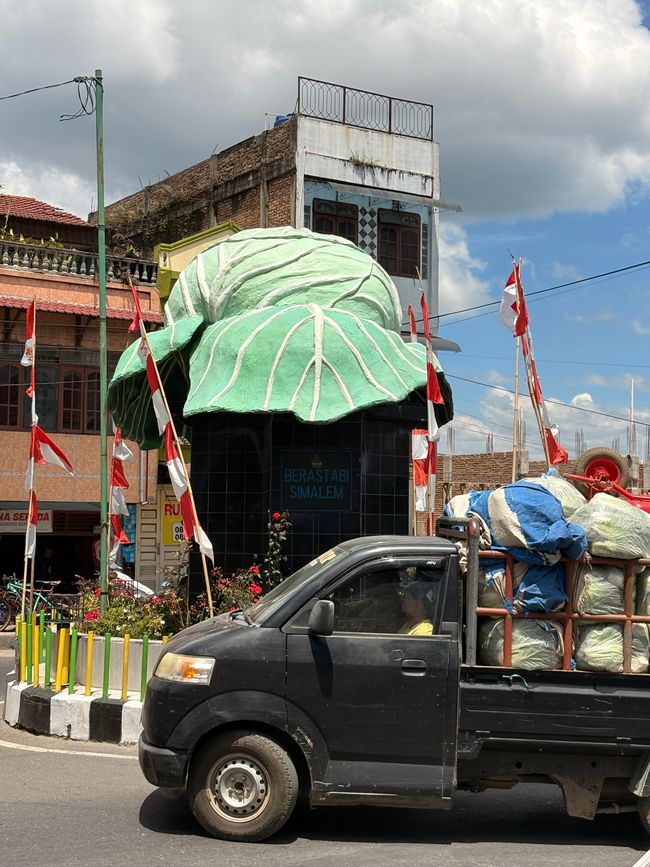 ¿Quién no conoce el famoso monumento al repollo de Berastagi?