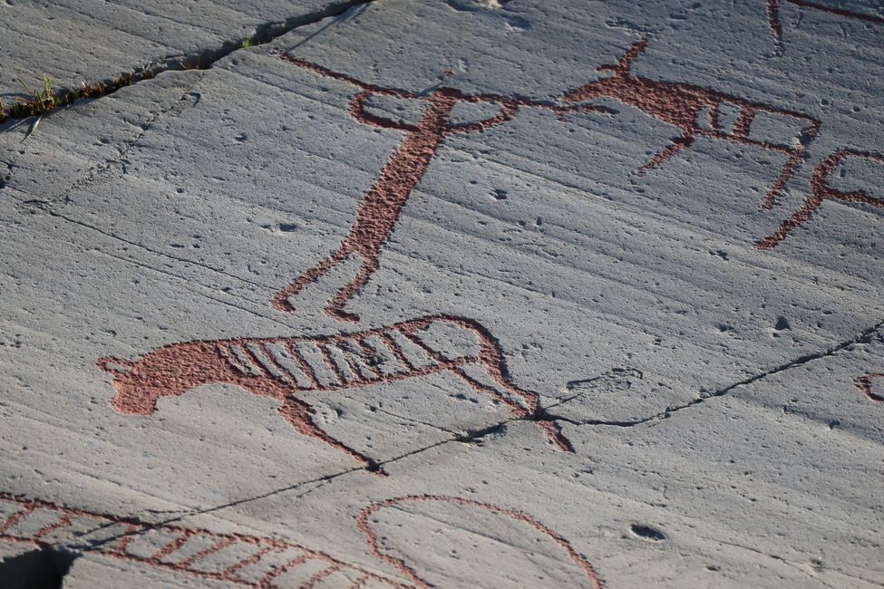 sie Zeiten Szenen von der Jagd und den Tieren
