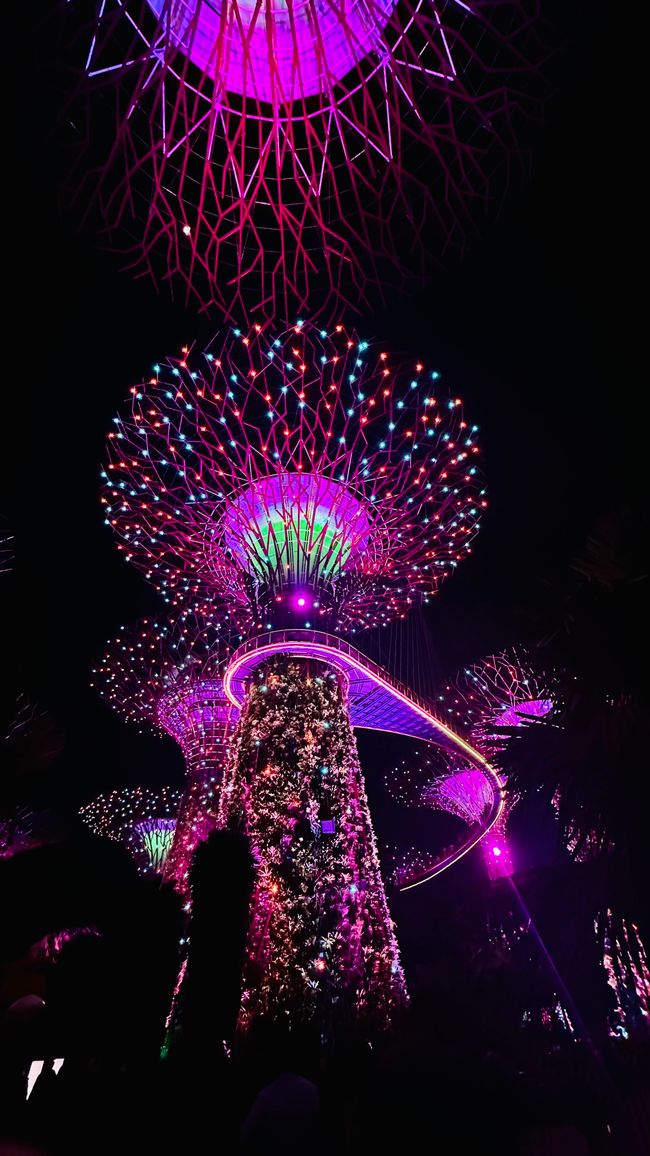 7 Días en Singapur - Parte 3