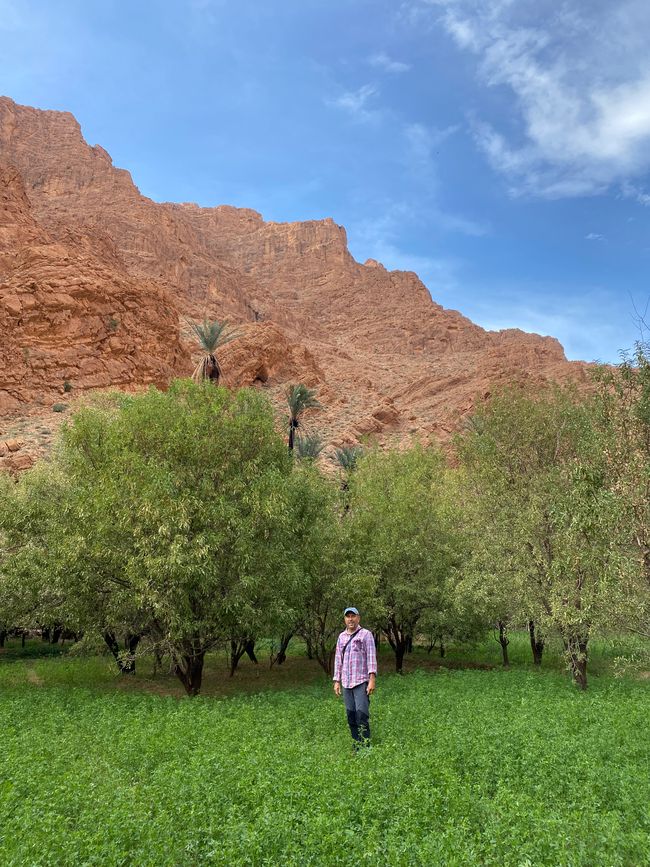 Stroll in the green oasis - what a contrast to the surrounding mountains and desert
