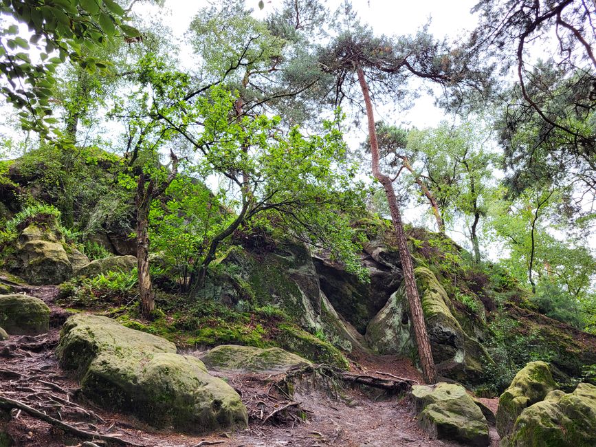 Wanderung zu den Dörenther Klippen
