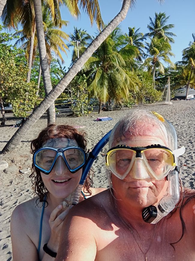 Martinique, unser Dschungelhäuschen und einmal quer über die Insel