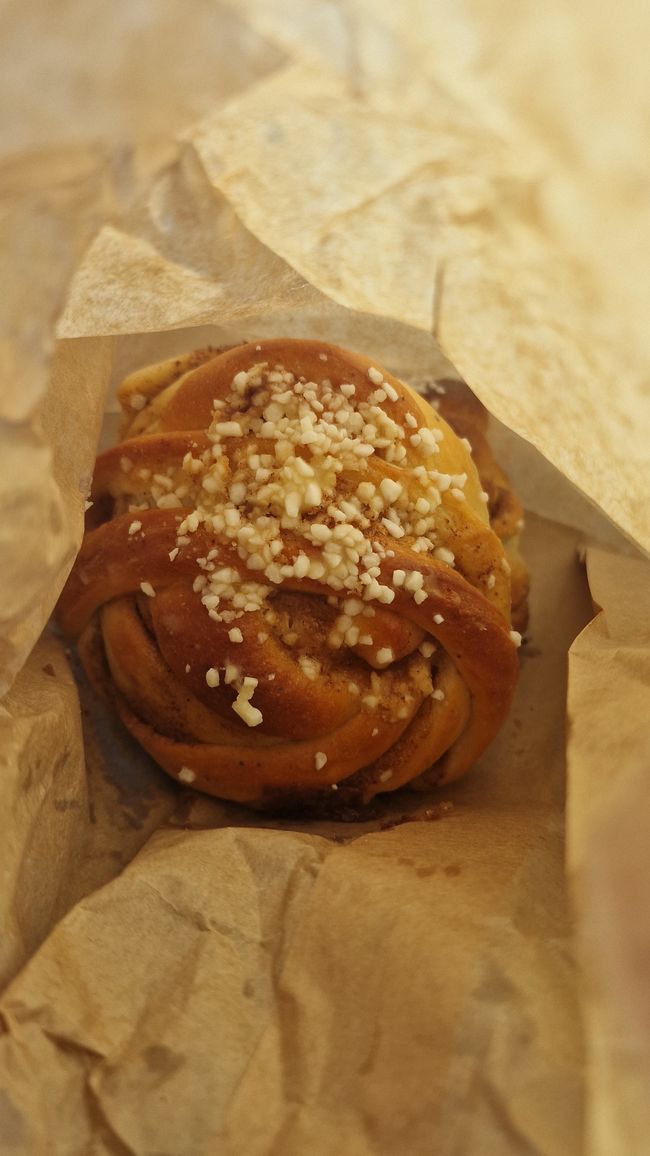 Schweden 8. Tag - Bäckerei, Zimtschnecken, Schloss Teleborg, Store Mosse Nationalpark